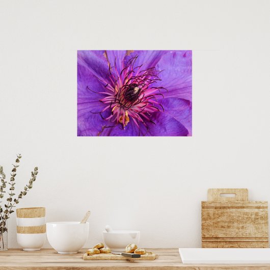 CLEMATIS POSTER (Keuken)