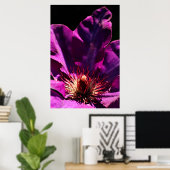 Clematis Poster (Thuiskantoor)