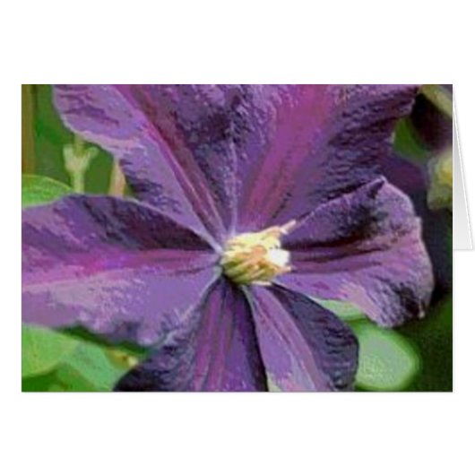 Clematis Purple Flower Card (Devant horizontal)