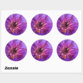 CLEMATIS RONDE STICKER (Vel)