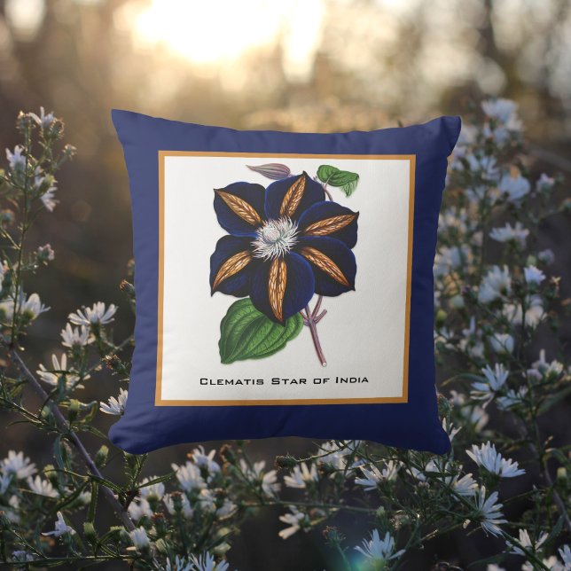 Clematis Star van India Botanische illustratie Kussen (Creator heeft geüpload)