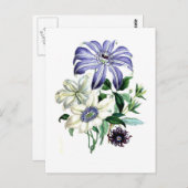 Clematis van Jane Loudon Briefkaart (Voorkant / Achterkant)