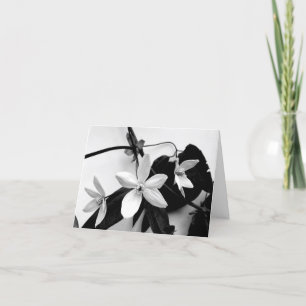 Clématite dans le carte pour notes monochrome