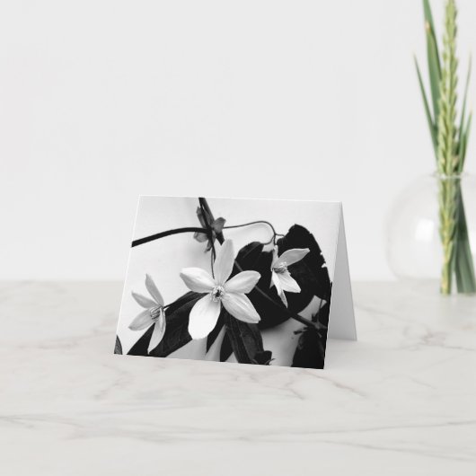 Clématite dans le carte pour notes monochrome (Devant)