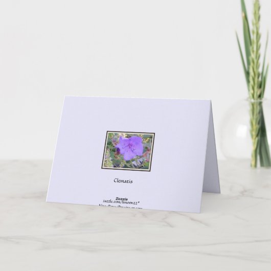 Clématite pourpre - carte de sympathie (Dos)