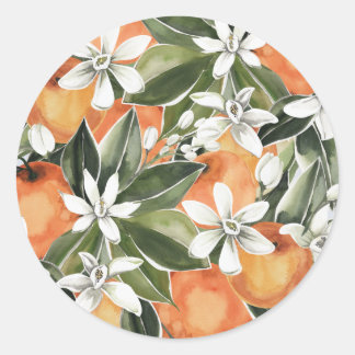 Clementine Baby shower envelop afdichting Ronde Sticker