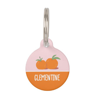Clementine Huisdierpenning