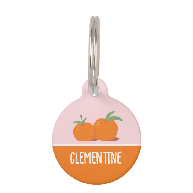 Clementine Huisdierpenning (Voorkant)