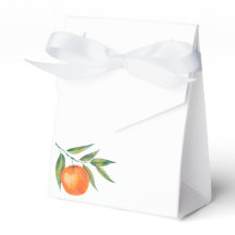 Clementine Watercolor "Schattig" Baby Shower