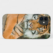 Clemson Tiger Football Cell Phone cases en Hoesjes (Achterkant (horizontaal))