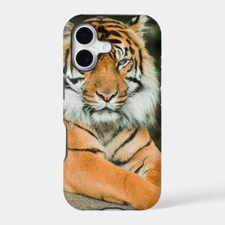 Clemson Tiger Football Hoesjes en Covers voor Mobi