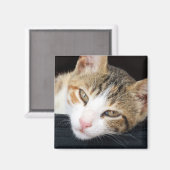 Cleo Cat Magnet Magneet (Voorkant / Achterkant)