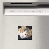 Cleo Cat Magnet Magneet (Insitu (Vaatwasser))