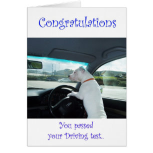 Cleo Passing-rijtest