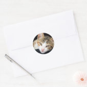 Cleo Stickers (Envelop)