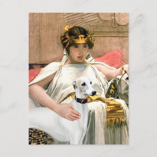Cleopatra en witte Whippet Briefkaart (Voorkant)