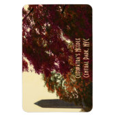 Cleopatra's Needle, Central Park, NYC Magneet (Verticaal)