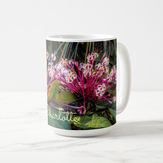 Clerodendrum Starburst Fleurs Mug (Devant droit)