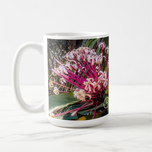 Clerodendrum Starburst Fleurs Mug (Gauche)
