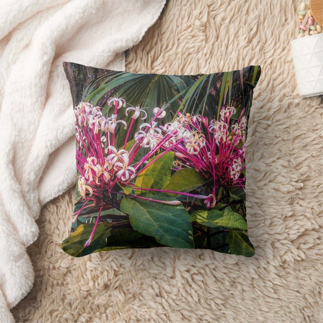 Clerodendrum Starburst Flowers Jeter Oreiller (Couverture)
