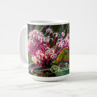 Clerodendrum Starburst Flowers Mok