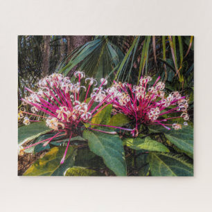 Clerodendrum Starburst Flowers Puzzle Legpuzzel