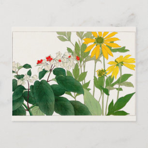 Clerodendrum thomsoniae, Rudbeckia, Tanigami Konan Briefkaart