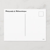 Cleveland Architecture at Christmas Carte postale (Dos)