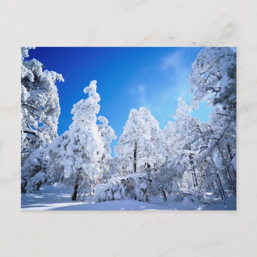 Cleveland National Forest Briefkaart (Voorkant)