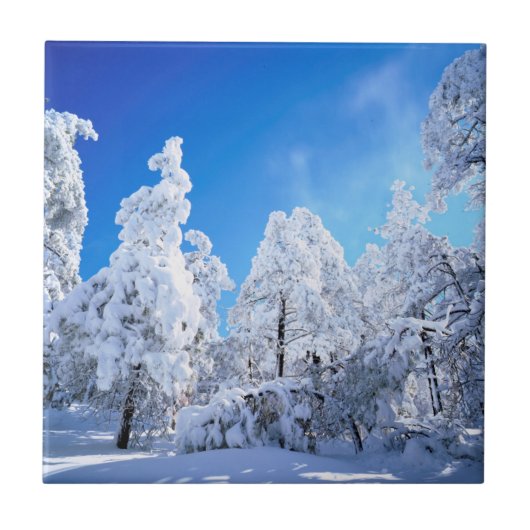 Cleveland National Forest Tegeltje (Voorkant)