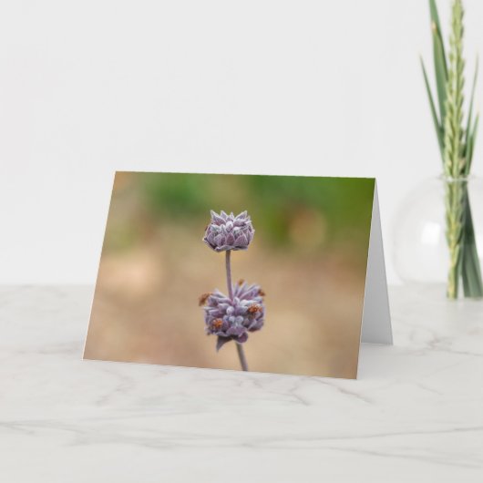 Cleveland Sage Kaart (Voorkant)