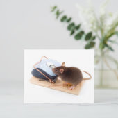 Clever Mouse Briefkaart (Staand voorkant)