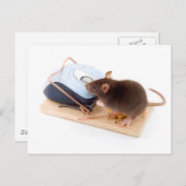 Clever Mouse Briefkaart (Voorkant / Achterkant)
