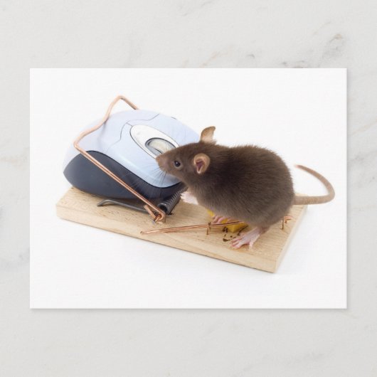 Clever Mouse Briefkaart (Voorkant)