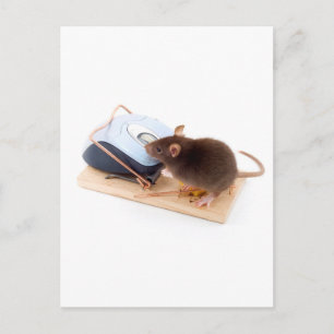 Clever Mouse Briefkaart