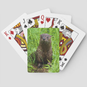 Clever River Otter Pokerkaarten