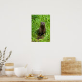 Clever River Otter Poster (Keuken)