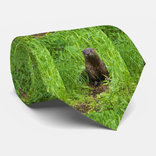 Clever River Otter Stropdas (Opgerold)
