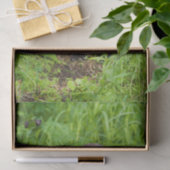 Clever River Otter Tissuepapier (Geschenk)