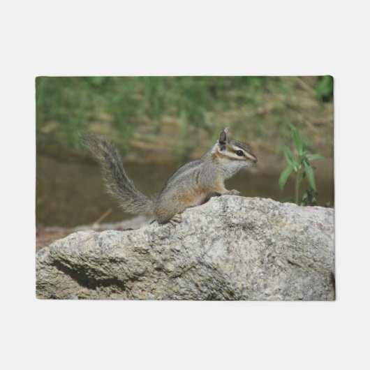 Cliff Chipmunk Deurmat (Voorkant)
