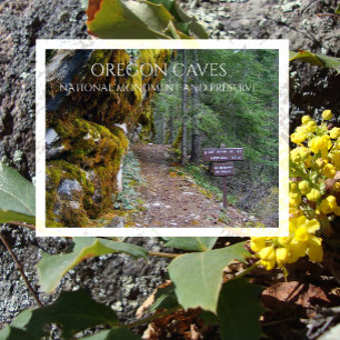 Cliff Natuur Trail Trailhead, Oregon Caves, Oregon Briefkaart