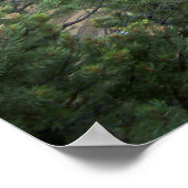 Cliff Palace Wide Uitzicht Poster (Hoek)