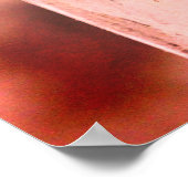 Cliff Swallows Poster (Hoek)