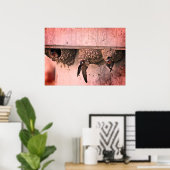 Cliff Swallows Poster (Thuiskantoor)