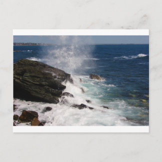 Cliff Walk bij Newport, RI Briefkaart