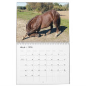 Clifford 2019 le calendrier mural de cheval de (Mar 2026)
