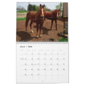 "Clifford de calendrier de l'île" 2018 de Drummond (Mar 2026)