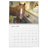 Clifford le calendrier du cheval 2012 de Morgan (Jan 2027)