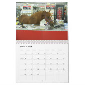 Clifford the Morgan Horse Kalender (Mar 2026)