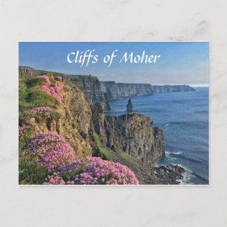 Cliffs of Moher, Ireland, Flowers Briefkaart
